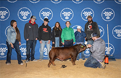2022-oye-bronze-duroc-hadley-cooper-schwecke-heres-the-deal