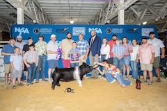 Grand Cross Gilt 2023 Expo