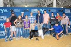 Grand Cross Gilt 2023 Expo