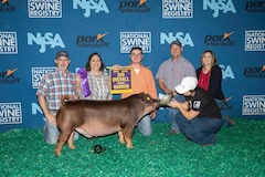3rddurocbarrow_chdiv1duroc