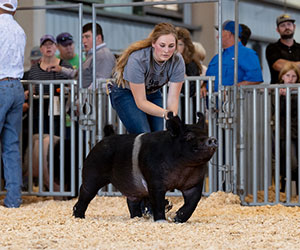 NATIONAL SHOW EXHIBITOR SPOTLIGHT - Abi Lillard - Grand Champion Market Hog, 2022 Kansas Junior Livestock Show