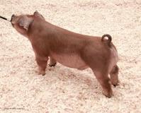 chadhill-lot24