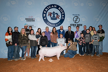NATIONAL SHOW EXHIBITOR SPOTLIGHT - Brantley Platt - Reserve Supreme Champion Breeding Gilt, 2020 American Royal
