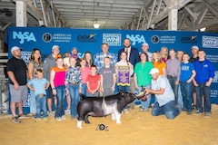 Grand Cross Gilt 2023 Expo