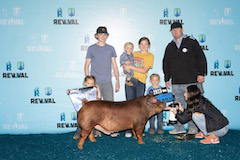 Reserve Duroc<br />
Brynlee Newcomb