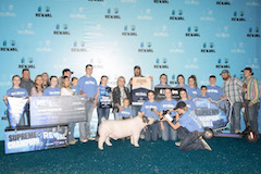 Grand Champion Lt. Cross The Revival
