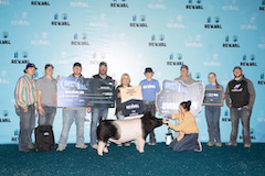 3rd Overall Champion Dark Cross The Revival