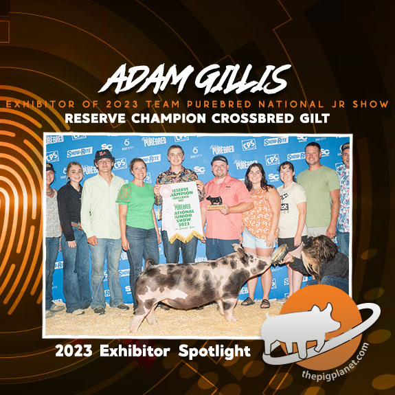 Adam Gillis