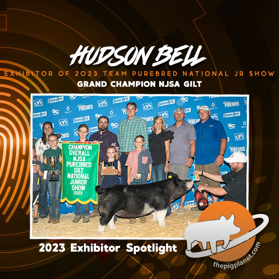 Hudson Bell