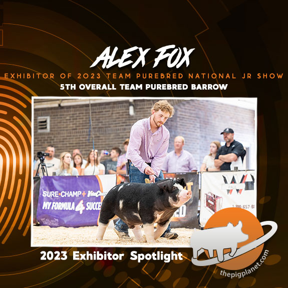 Alex Fox
