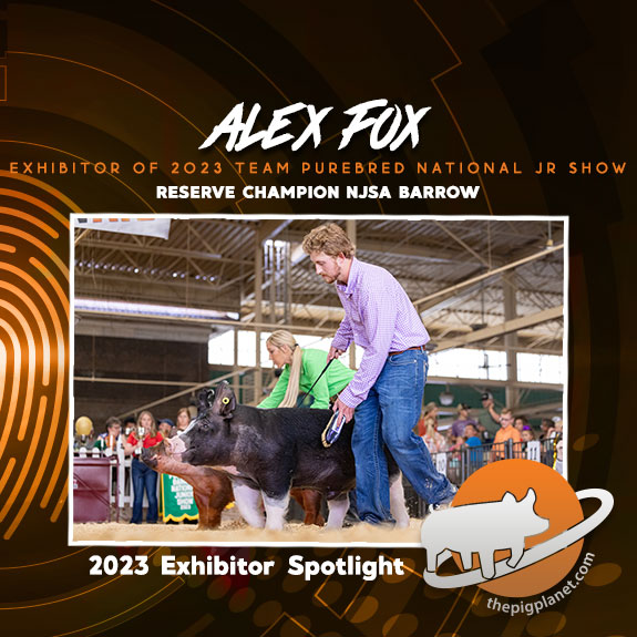 Alex Fox