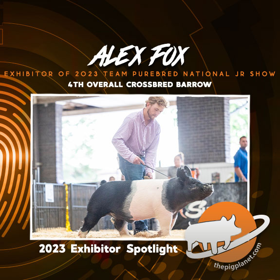Alex Fox
