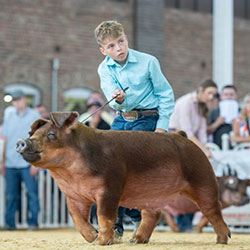 Brody Hege
