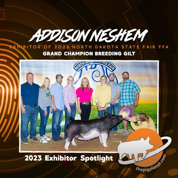 Addison-Neshem