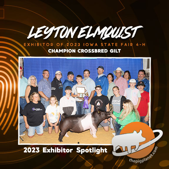 Leyton-Elmquist