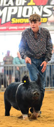 Logan-Deel-2