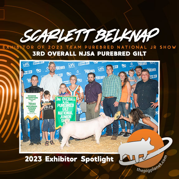 Scarlett-Belknap-1