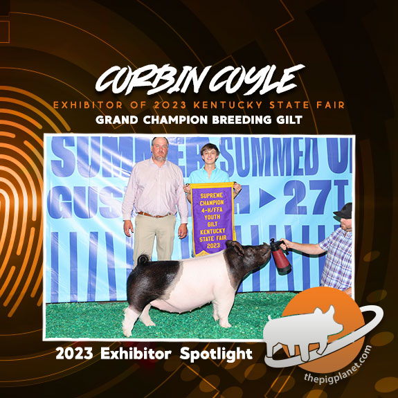 Coyle