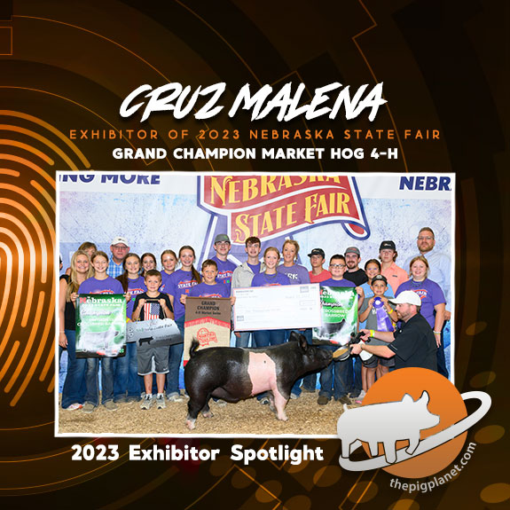 Cruz-Malena