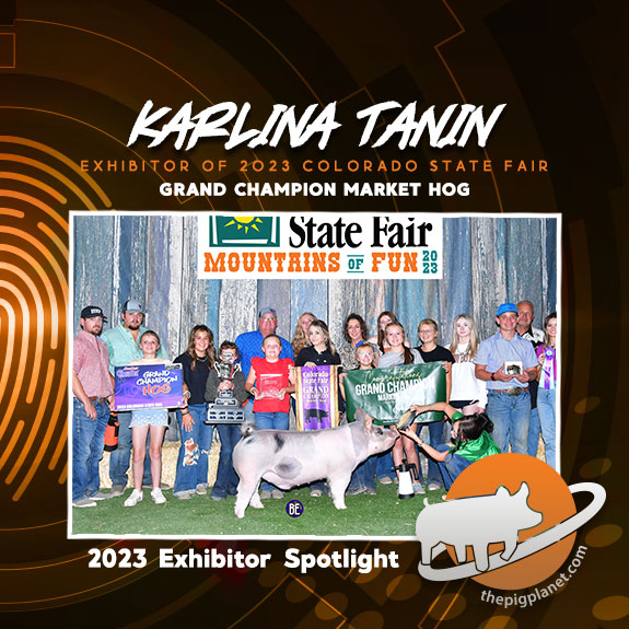 Karlina-Tanin