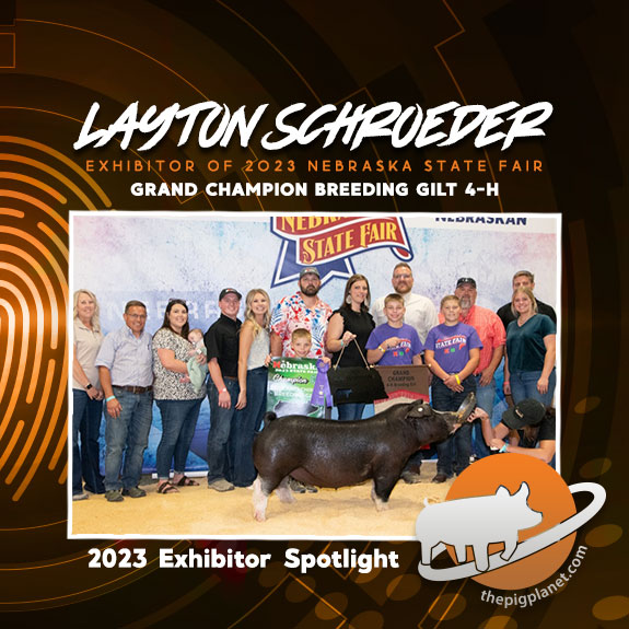 Layton-Schroeder