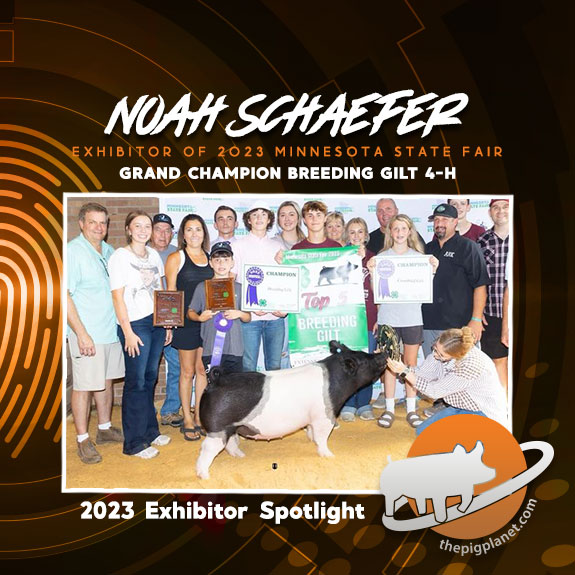 Noah-Schaefer