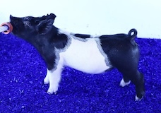 k43