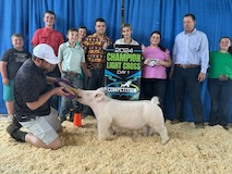 2024 - The Competition - Day 1 - Chloe Kemp - Grand