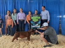 2024 - The Competition - Day 1 - Kate Heikes - 3rd