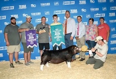 5thcpsgilt