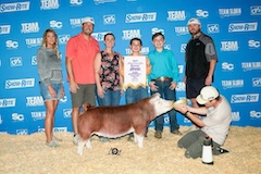 5thhereford