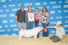 5thlandracegilt_tp