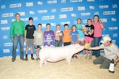 reslandracegilt_tp