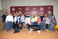 2024 American Royal - 5th Overall Gilt - Champion Berk-Tate Welch - Decker - Ride The Lightning