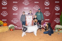 2024 American Royal - Champion D1 - Mya Wolka - Decker - Wide Awake