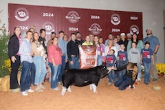 2024 American Royal - Reserve Champion Poland Gilt - Paisley Alexander - Henke Livestock - Head Start