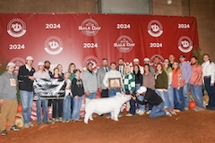 2024 American Royal - Reserve Grand Barrow - Cayson Bratland - Team Sloan - Wild Side