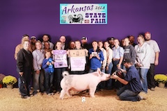 Arkansas State Fair 2024 - Reserve Grand Champion Market - Lizzie Mabry - Ham Livestock - Picture This