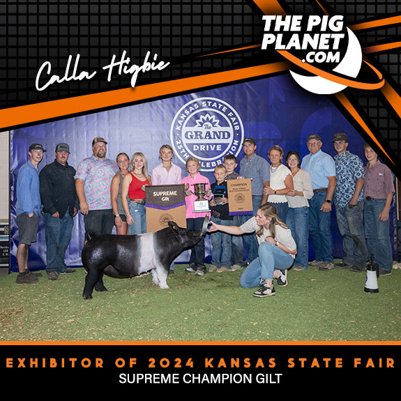 Calla Higbie