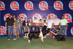 2024 - louisiana state fair - grand champion market -hallie primeaux - soileau - moneys on