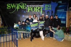 2024 - swine showdown in the fort - Grand cross Breeding Gilt - Alexa Graham - Albright - Heavy Hitter