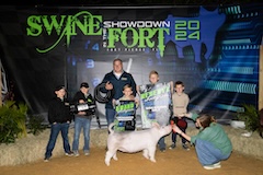 rescrossbreedinggilt