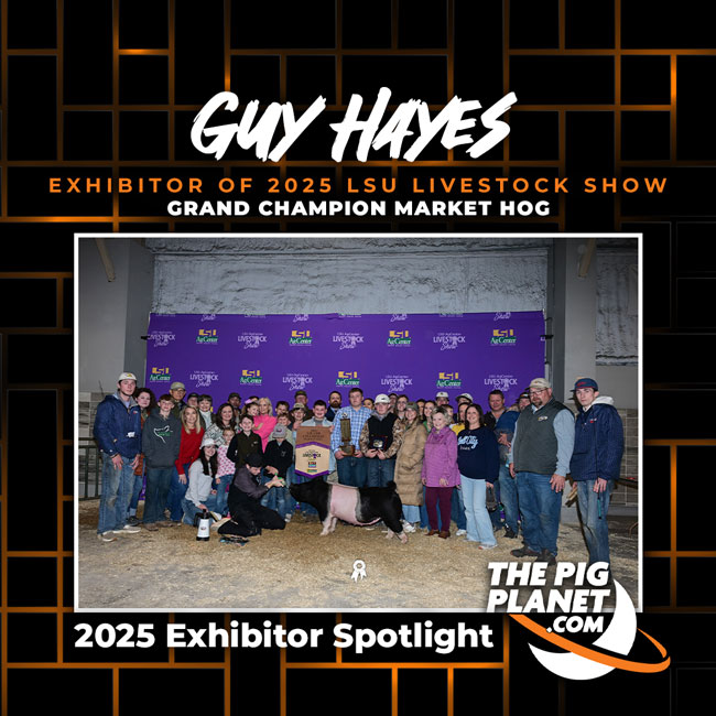Guy Hayes