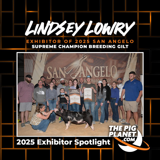 Lindsey Lowry