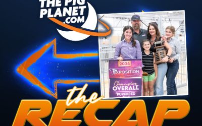 THE RECAP – Ben Bobell – Dixie National Market Judge