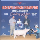 2025 AUSTIN RESERVE GRAND BARROW - CAMBRY WILSON - CB LIVESTOCK - GAME TIME