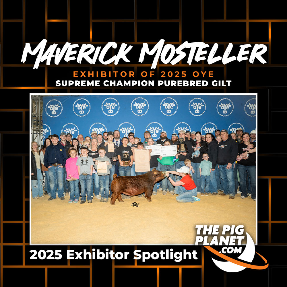 Maverick Mosteller