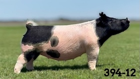cobb4
