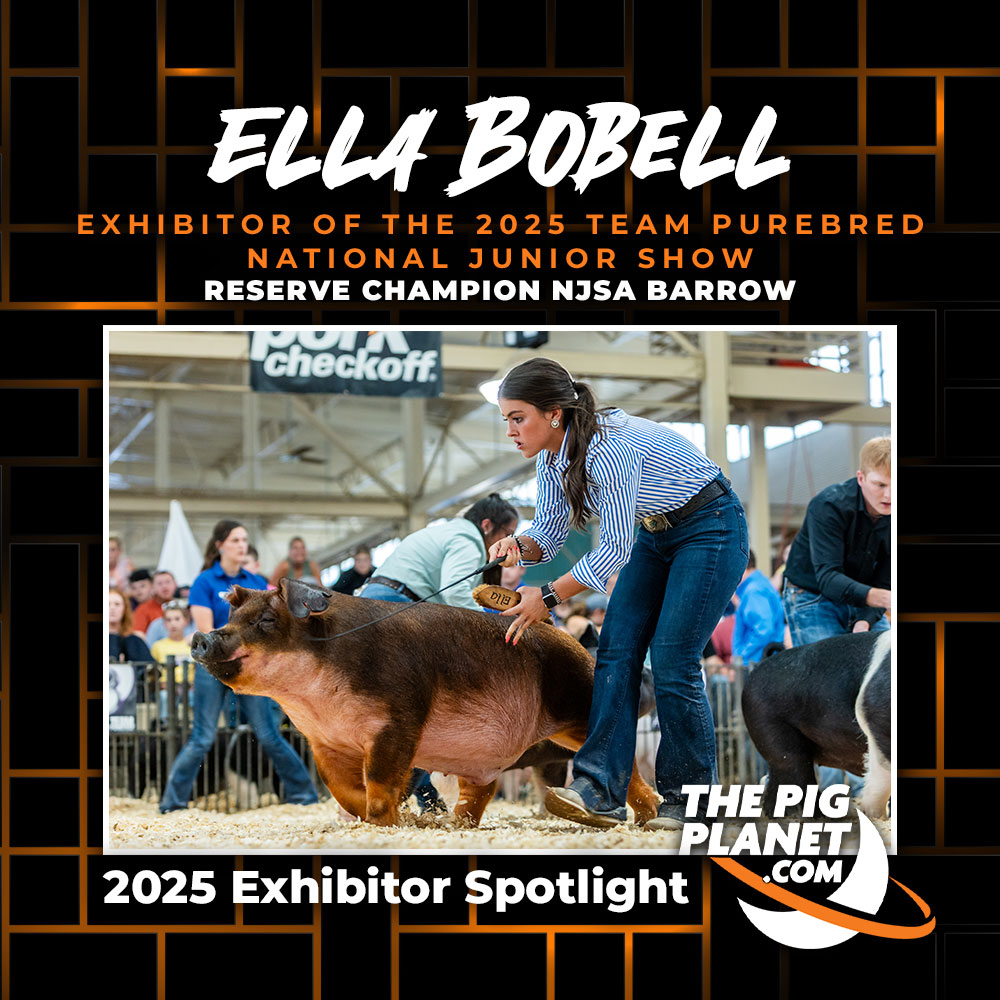 Ella Bobell