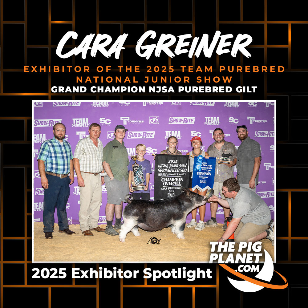 Cara Greiner